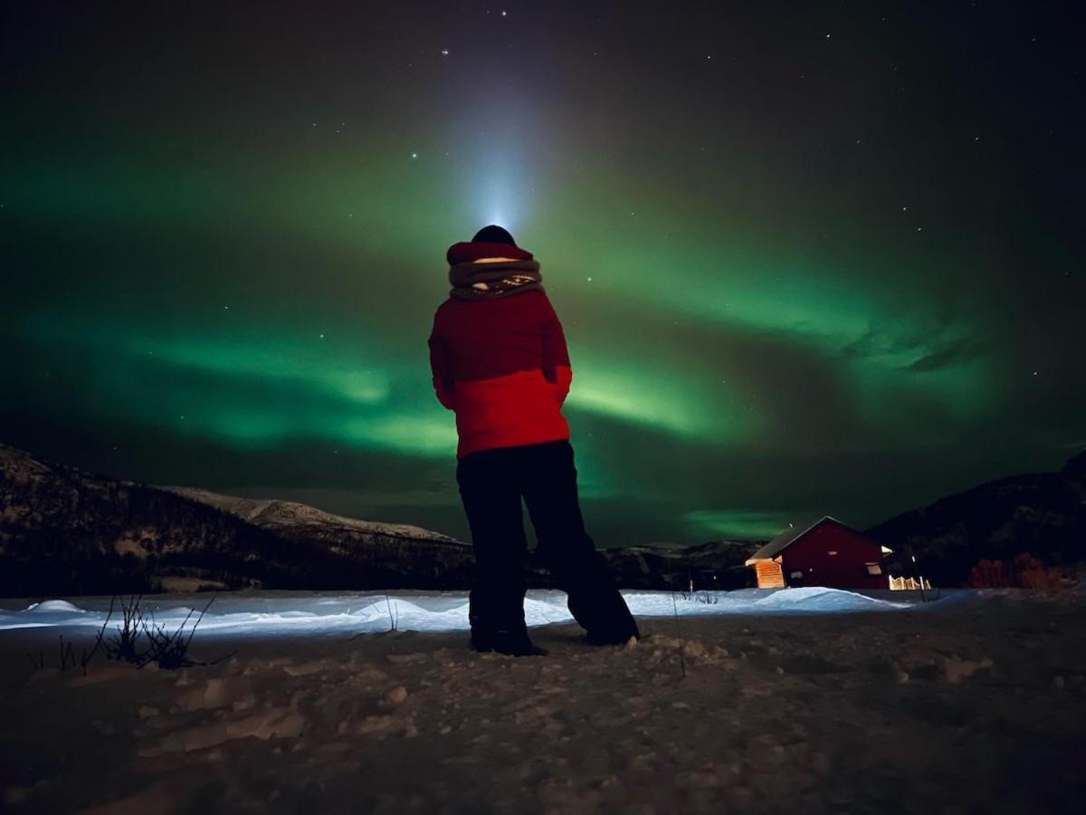 Storjord Farmstay Ranchhouse Kvaloya Екстериор снимка