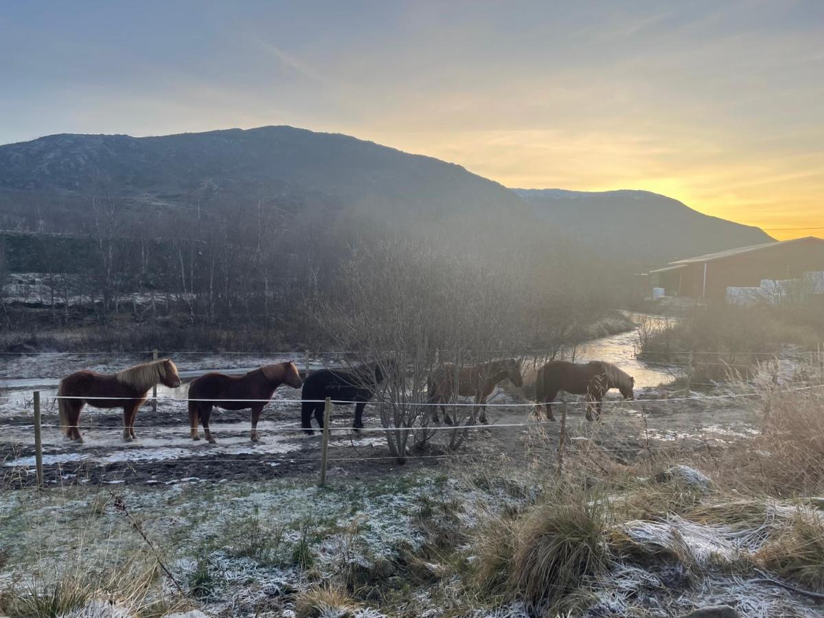 Storjord Farmstay Ranchhouse Kvaloya Екстериор снимка